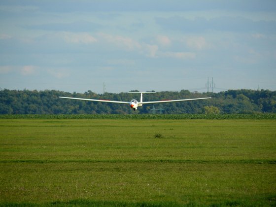 img00015.jpg