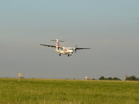 img00009.jpg