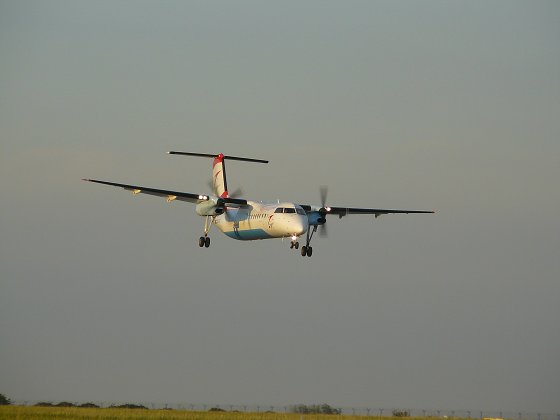 img00019.jpg