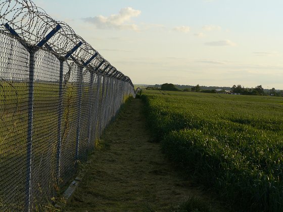 img00024.jpg